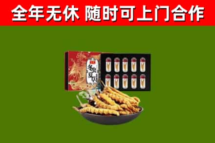 宁洱县烟酒回收冬虫夏草礼盒.jpg
