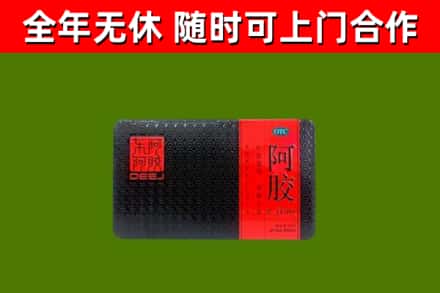 宁洱县回收阿胶